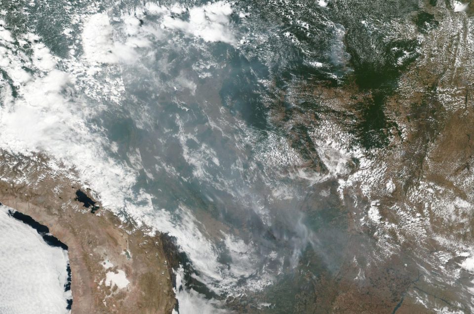 Warum brennt der Amazonas Regenwald in Brasilien?